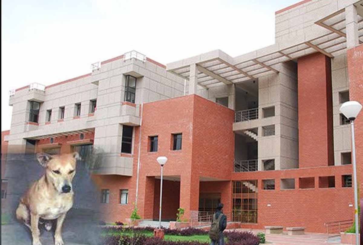 case filed Against animal cruelty act in iit kanpur