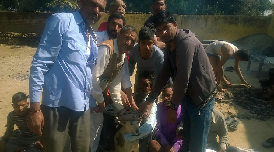 Aarti after pet dog death, more than 500 people fed meals