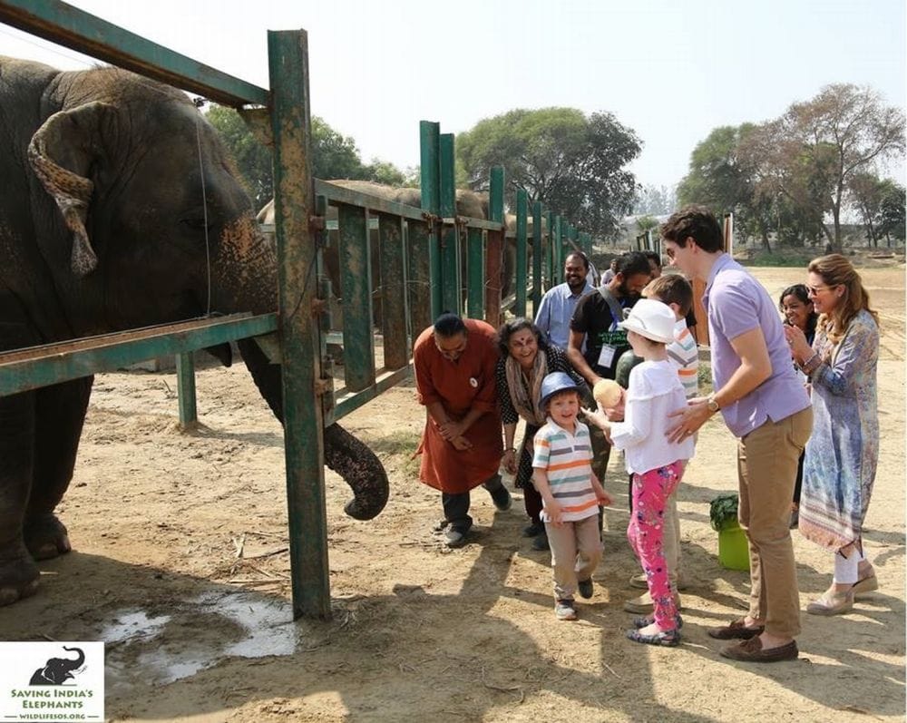 canadian prime minister justin trudeau became passionate