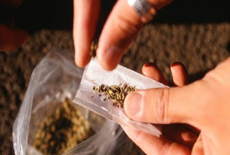 rajasthan jaipur drug peddler sentenced by the special court 