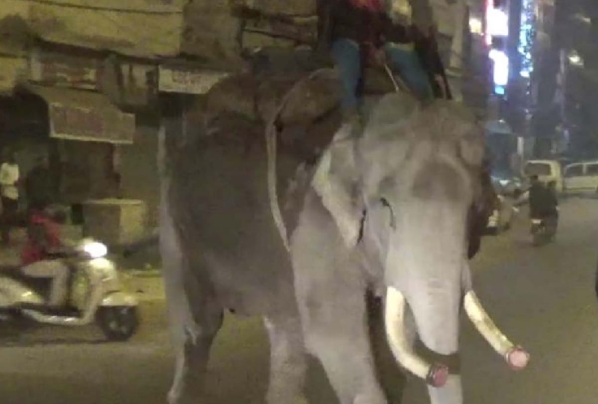 elephant crushed three men