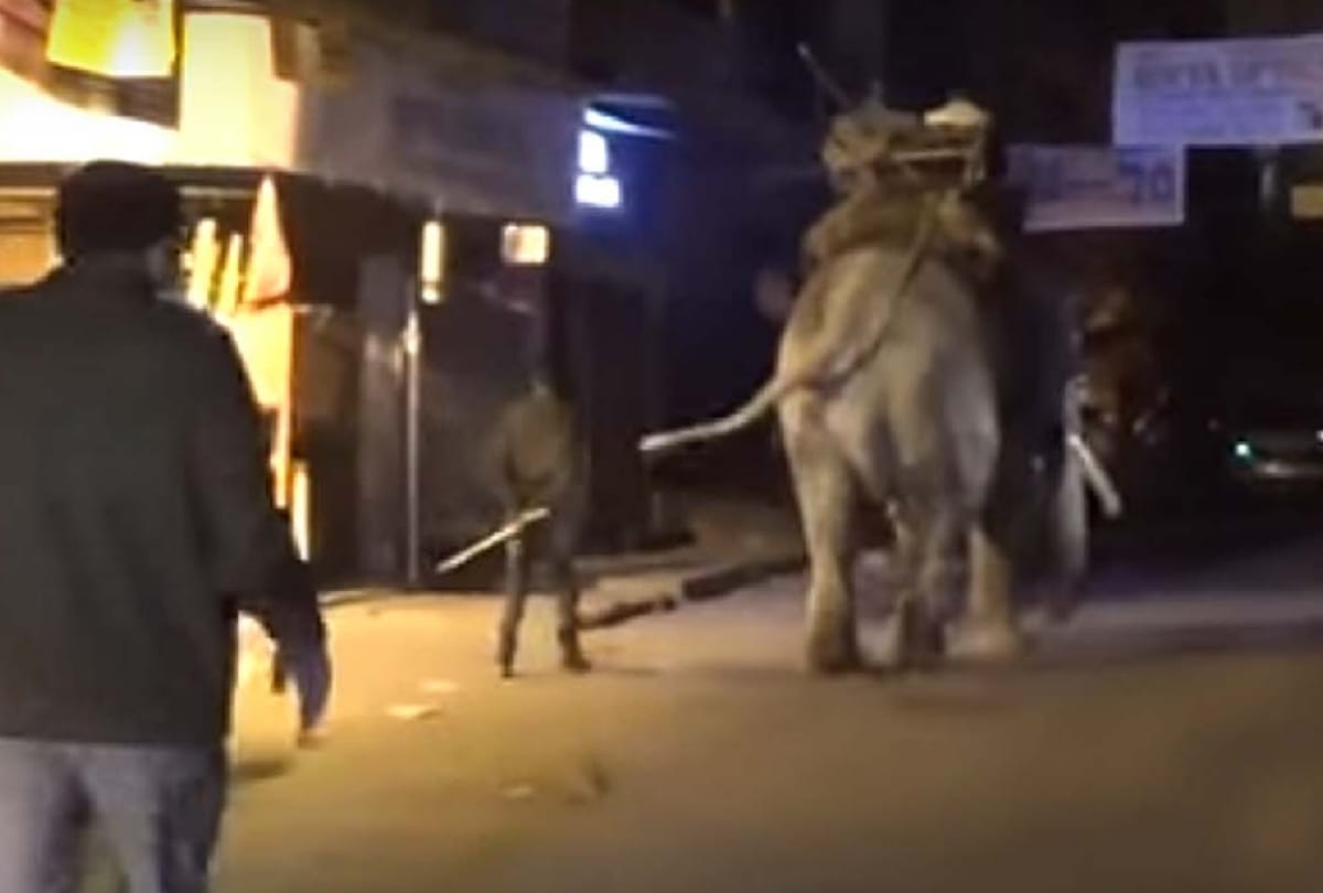 elephant crushed three men