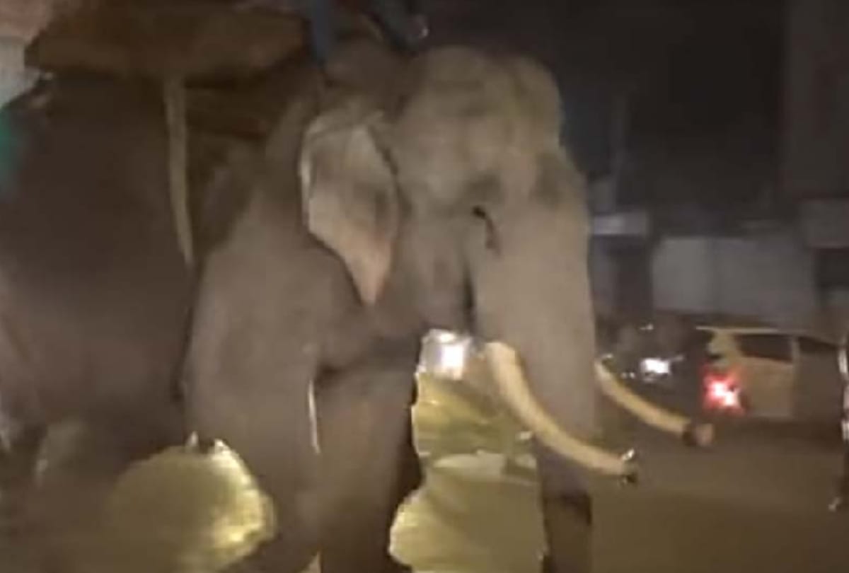 elephant crushed three men