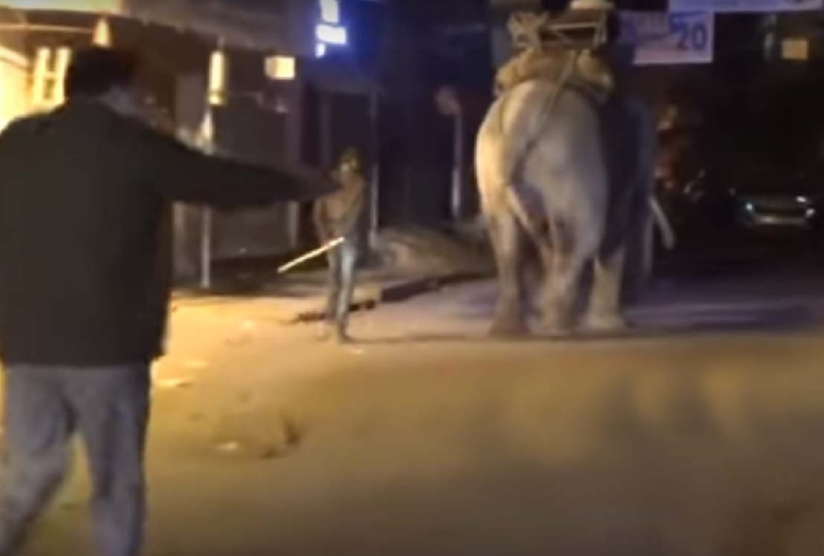 elephant crushed three men