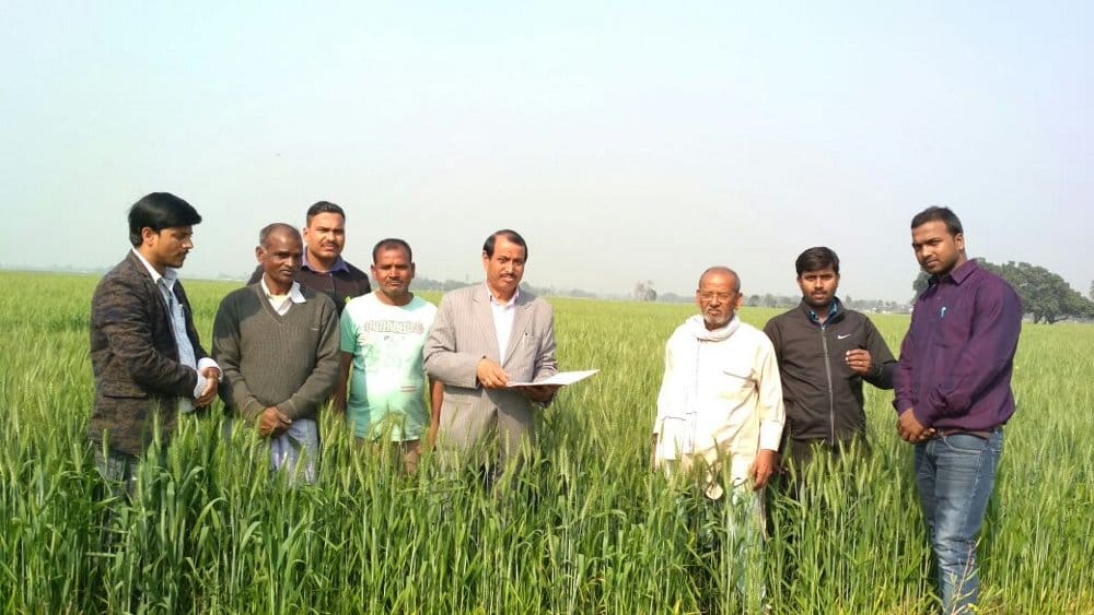 Information about the protection of crops
