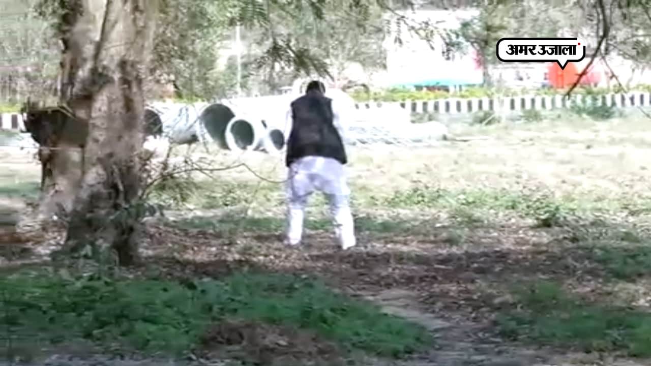 मोतिहारी