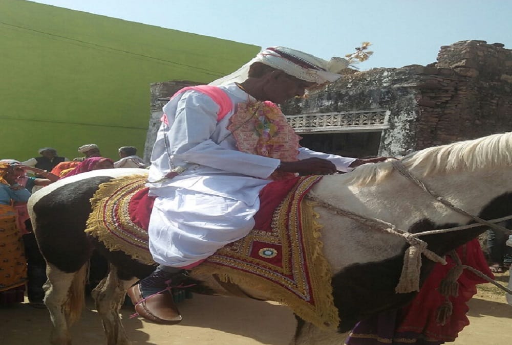 rajasthan bizzare wedding in karauli and people coming from other state to see this 