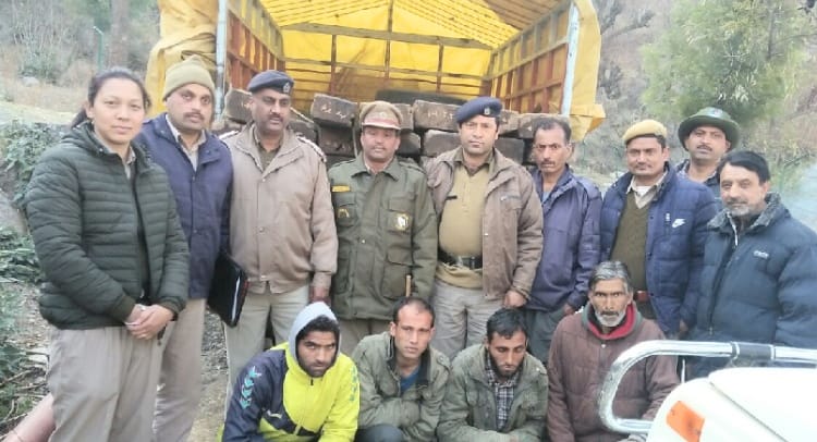 ज्यूरी में पकड़े देवदार, कायल के 63 स्लीपर