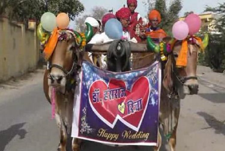 bizzare wedding-s in rajasthan in last few days