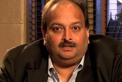 Mehul Choksi: Government said on removal of red corner notice – it will not make any difference, Choksi's lawyer gave this reaction Mehul Choksi
