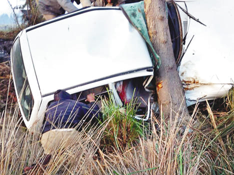Car fitted with trees, one killed, two wounded