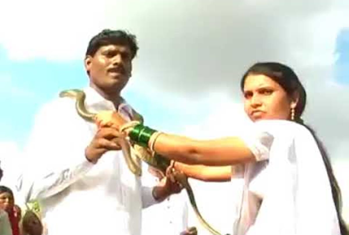 Video being viral of a couple who use Wedding Garland of Snake in marriage