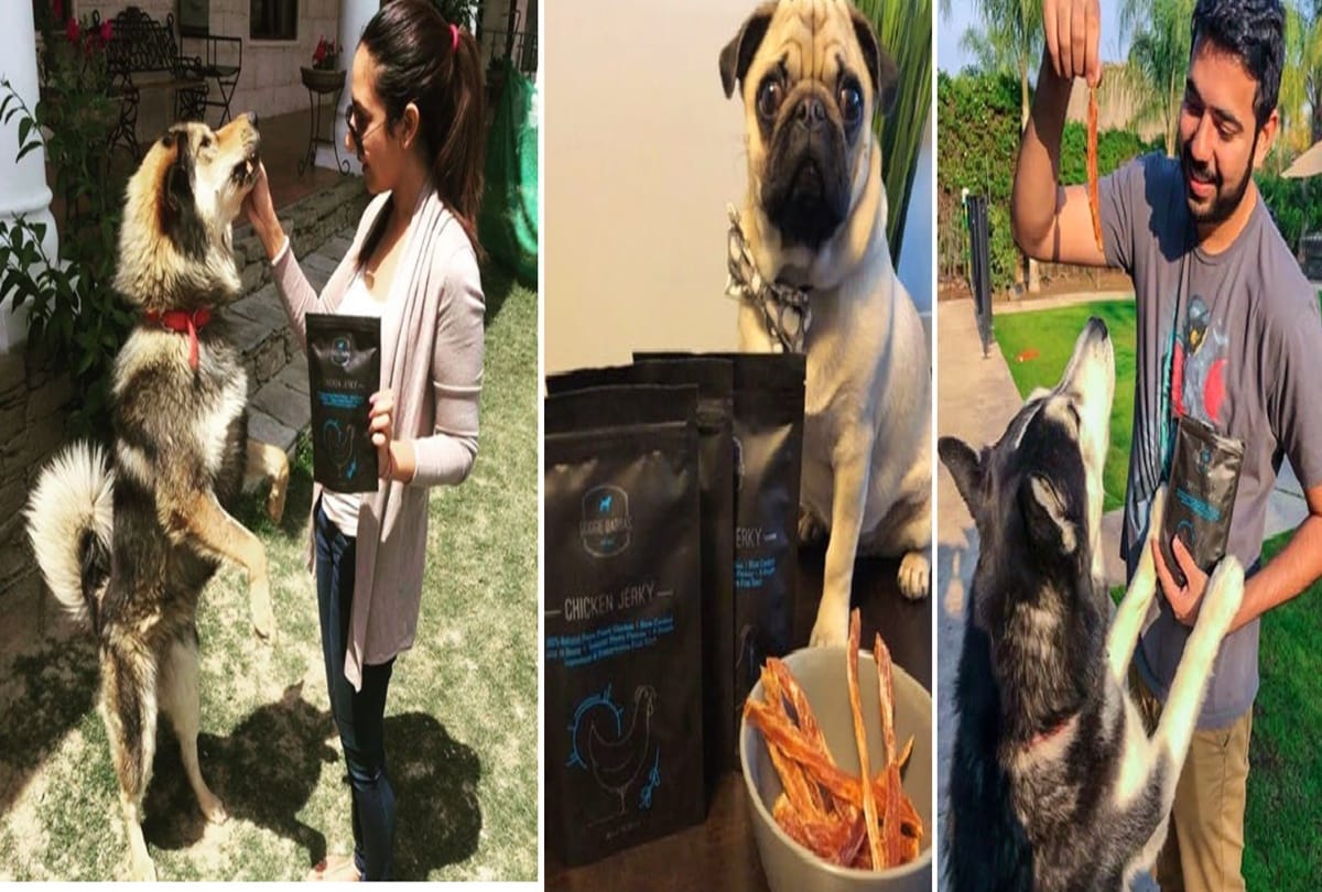 treat your pet from these cafe and make them feel special