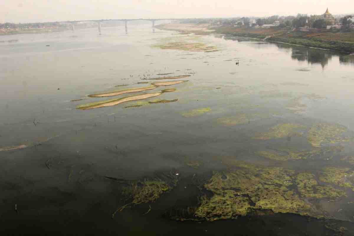pollution is in ganga at high label water is not drinkable