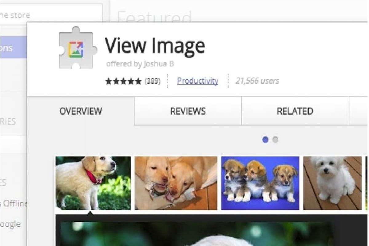 You can get back the View Button in Google Image Search with this extension