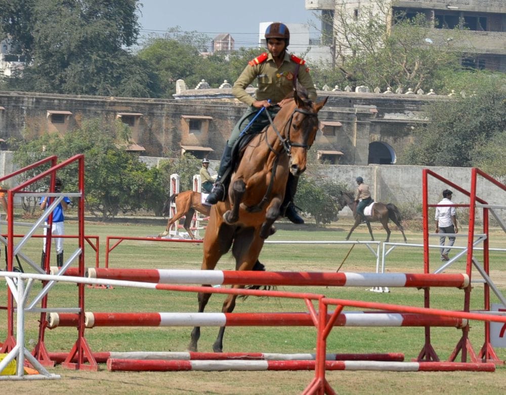 agra horse riding show in taj mahotsav 