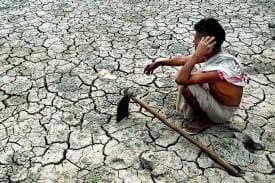 distribution for farmer