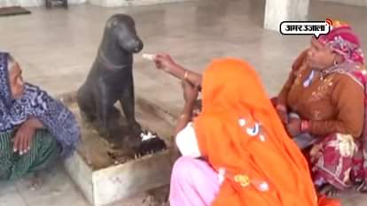 Dog Temple in Ghaziabad People come from distant places to worship