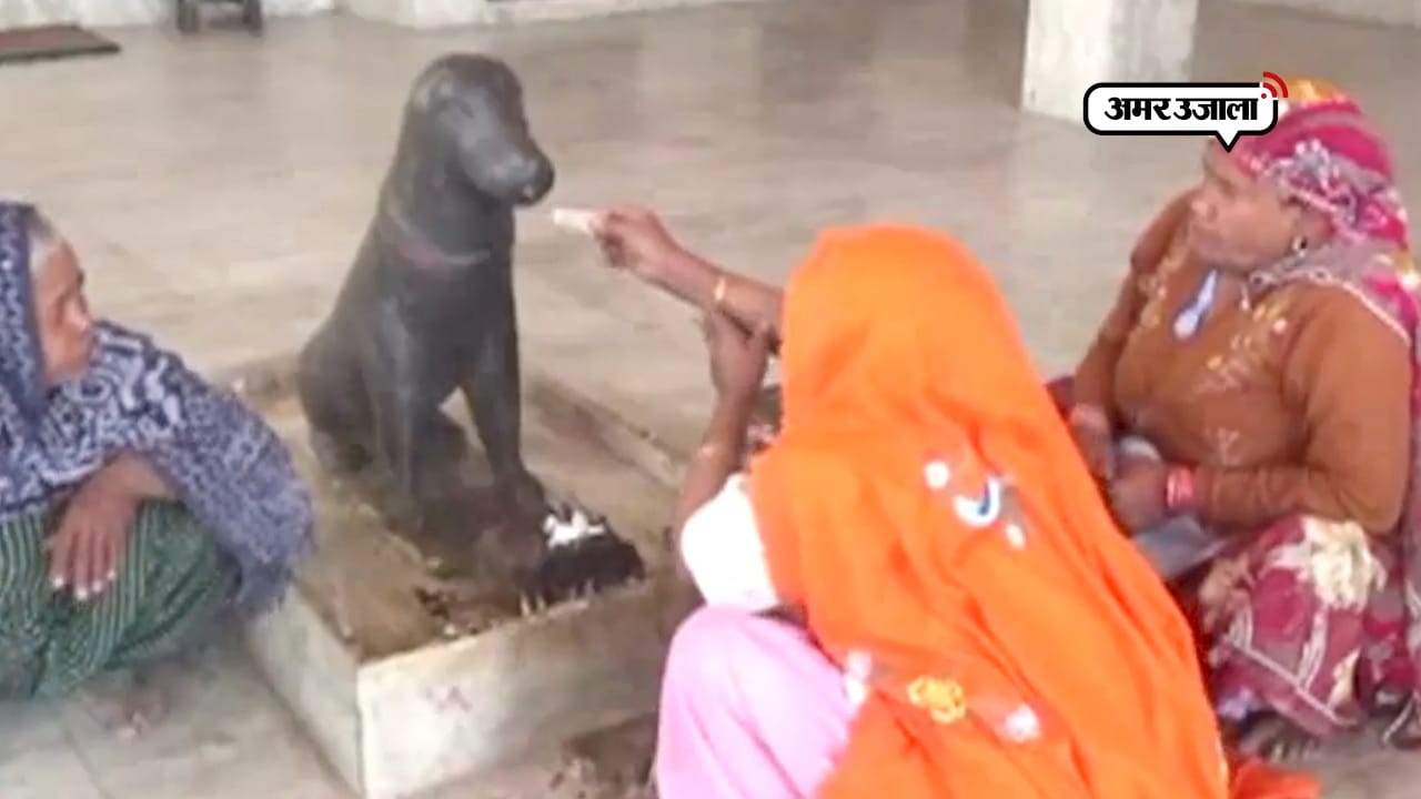 कुत्ता मंदिर 