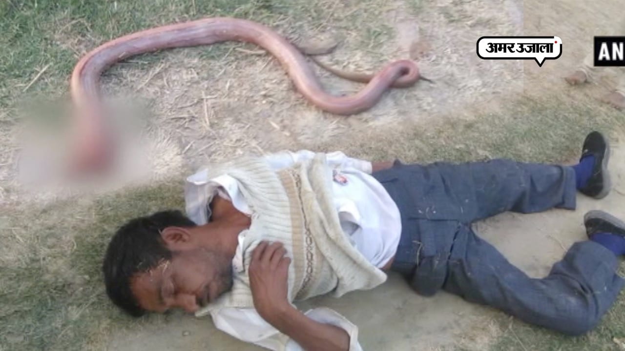 हरदोई 