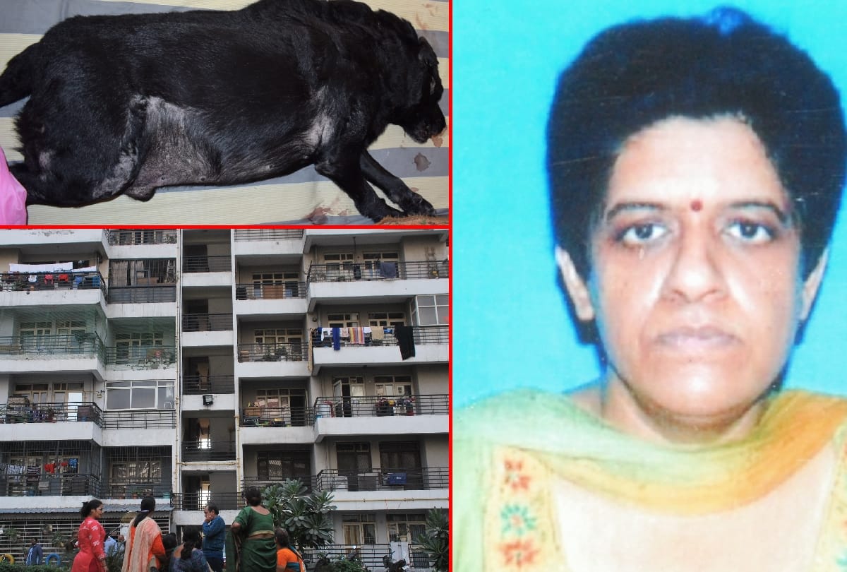 lady killed her pet dog and then killed herself, husband also wanted to kill himself