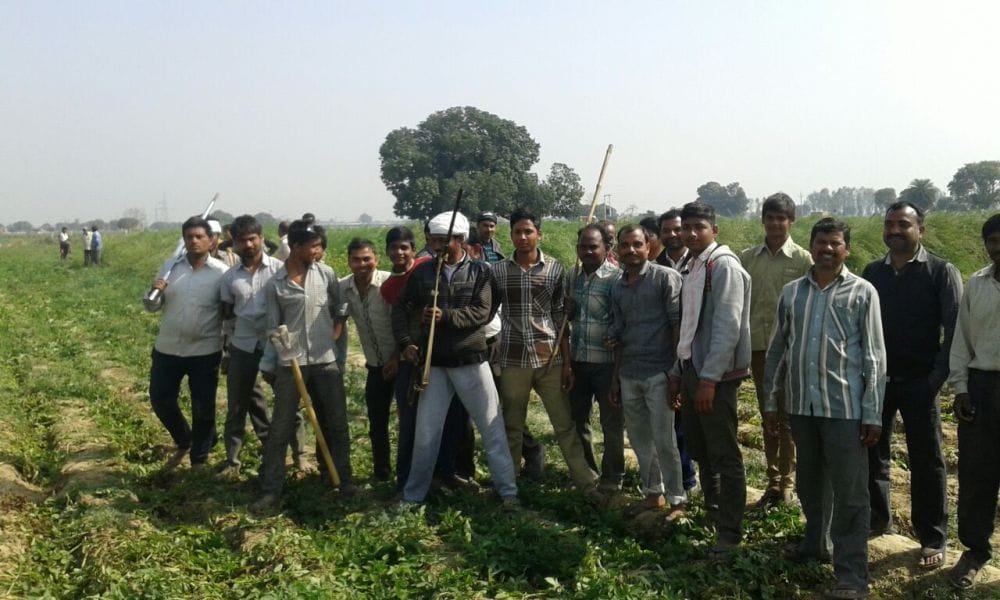 firozabad leopard entered the village