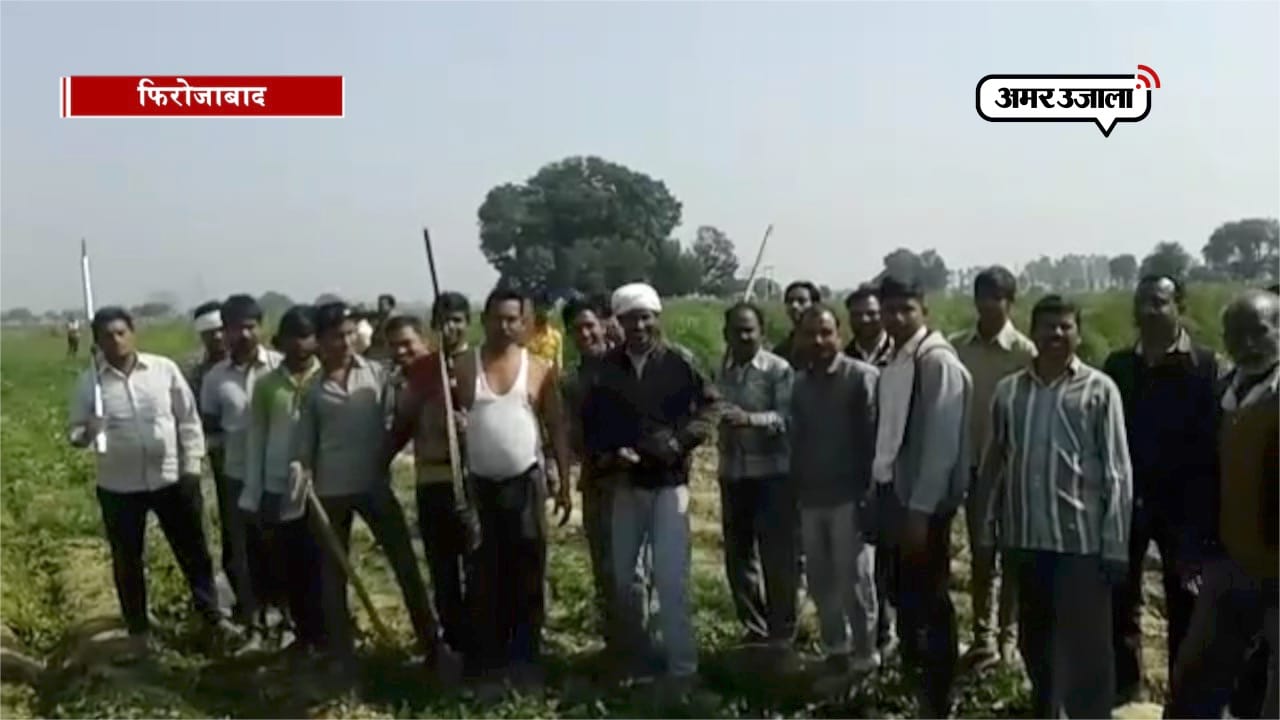 तेंदुआ