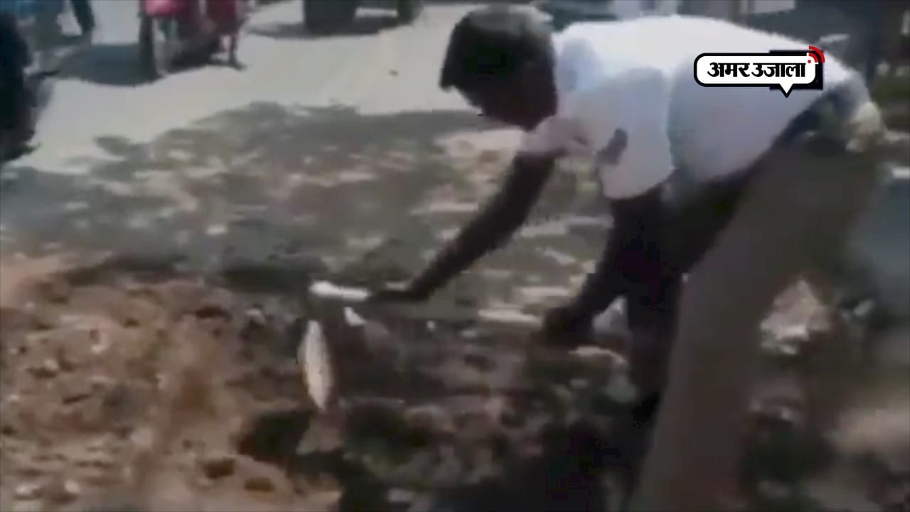 ट्रैफिक पुलिस