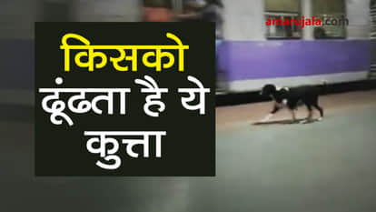 Helpless Dog running behind trains at Kanjurmarg Station