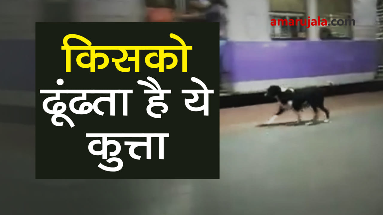 प्रतीकात्मक तस्वीर