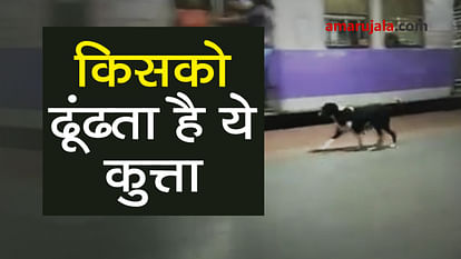 Helpless Dog running behind trains at Kanjurmarg Station
