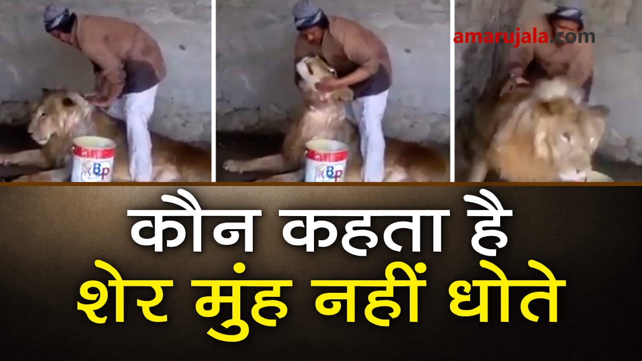 प्रतीकात्मक तस्वीर