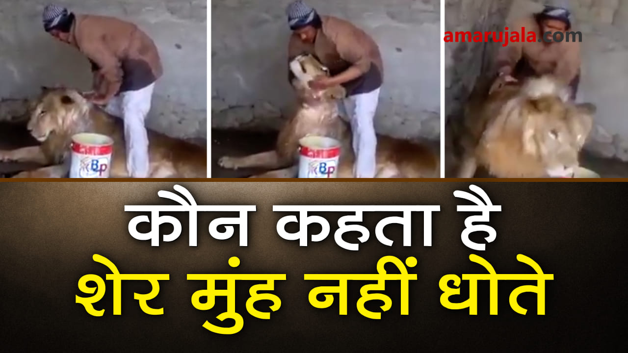 प्रतीकात्मक तस्वीर