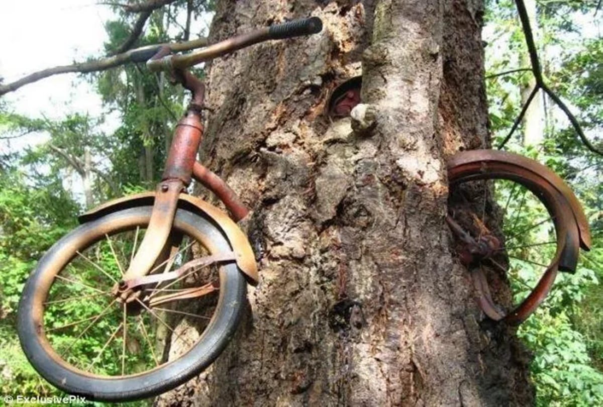 Know about five wonderful and unsolved secrets