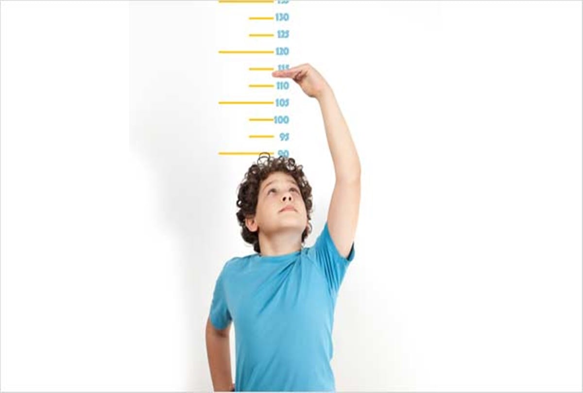 food and environment is necessary for average height in any region or country says research