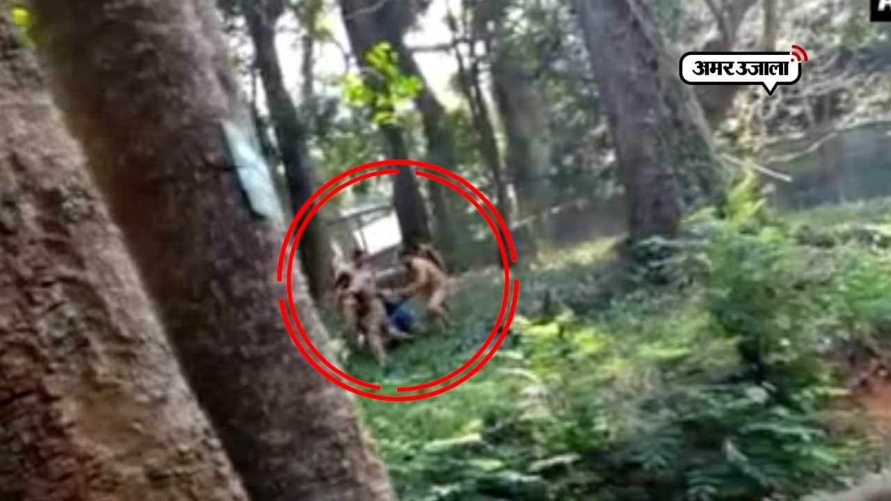 शेर का बाड़ा