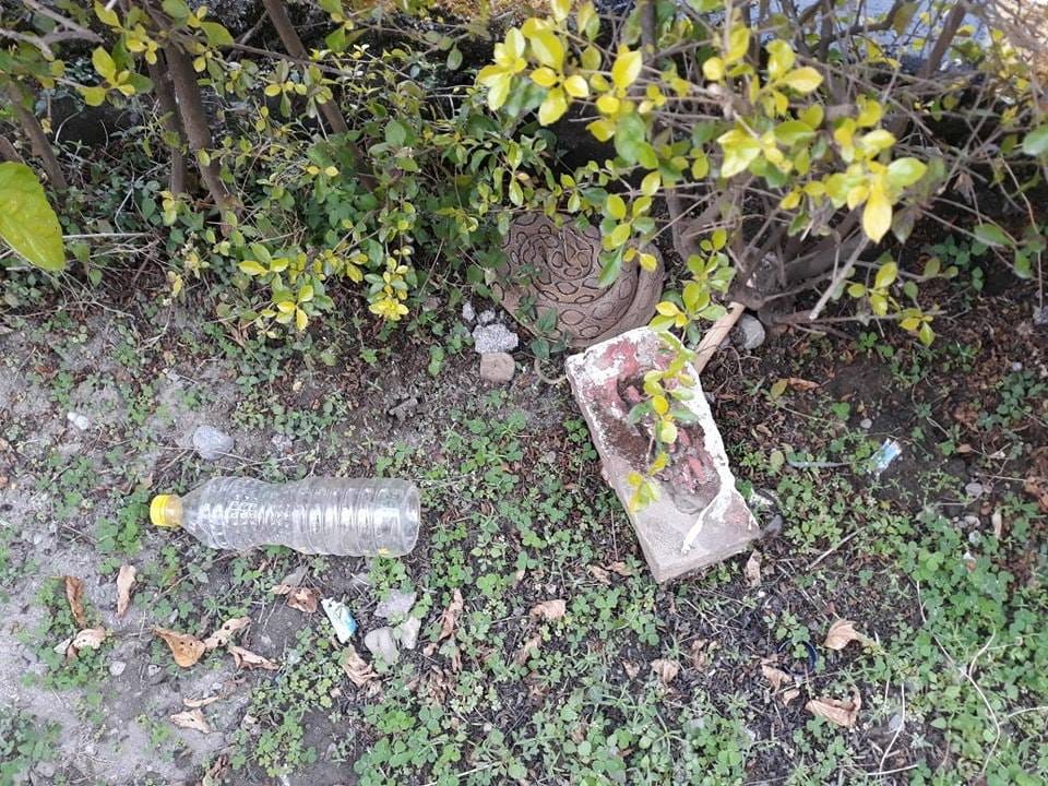 Most poisonous snake russell viper found in park
