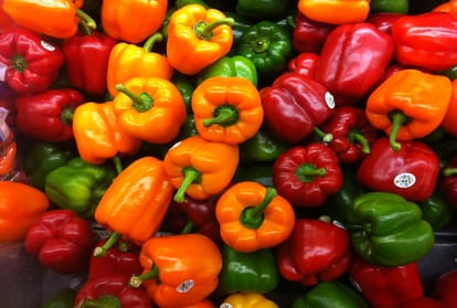 Capsicum Shimla Mirch History and its benefits for Health