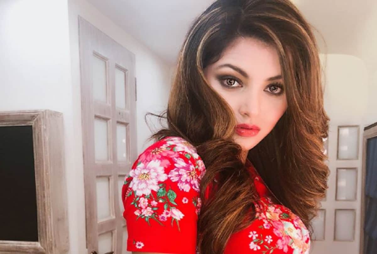 urvashi rautela Shares Pic In Saree And MagalSutra Fans   Asked About Her Marriage