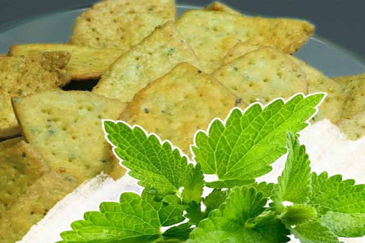 Recipe to make Cheese-pudina Papadi by Cookie Expert