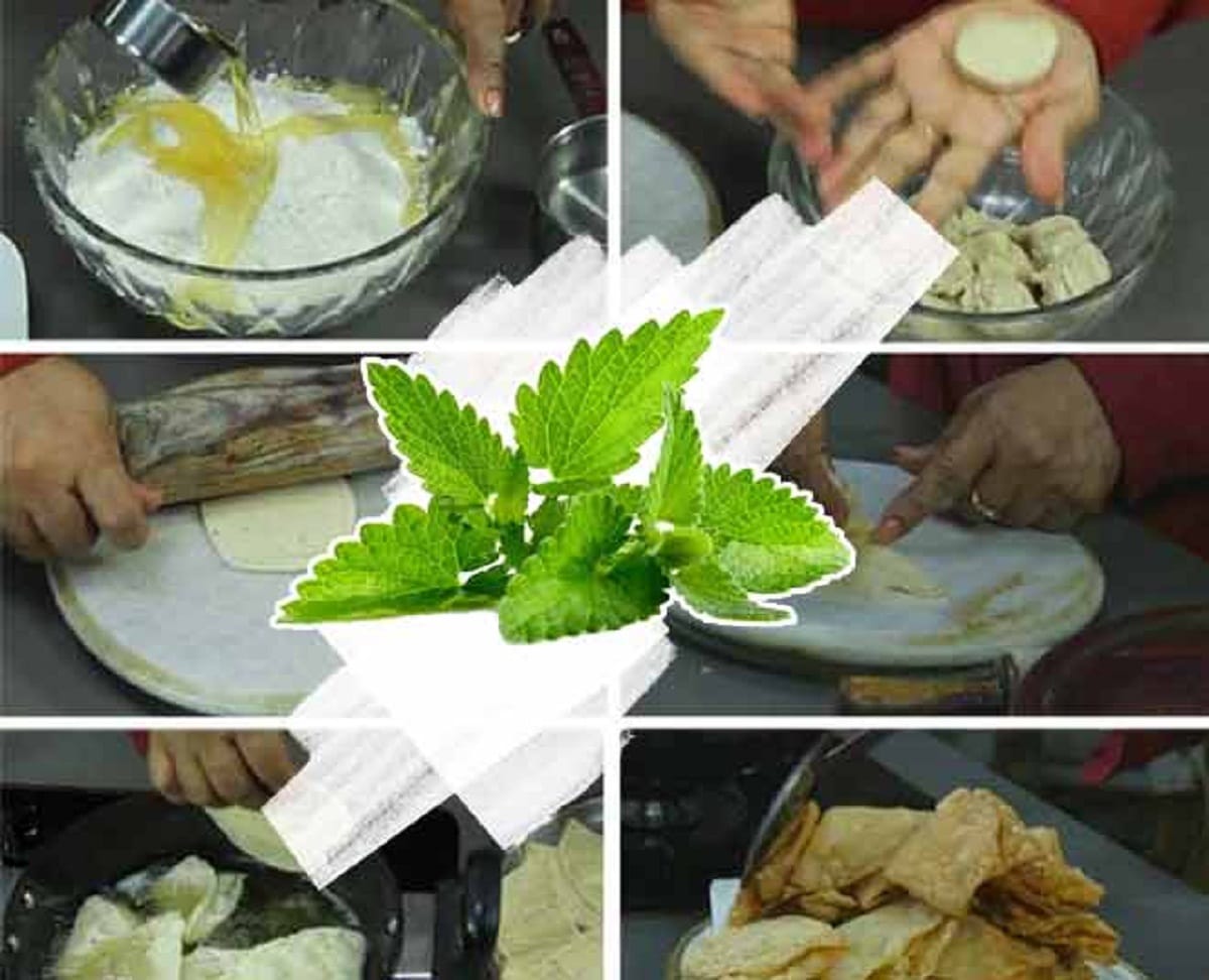 Recipe to make Cheese-pudina Papadi by Cookie Expert