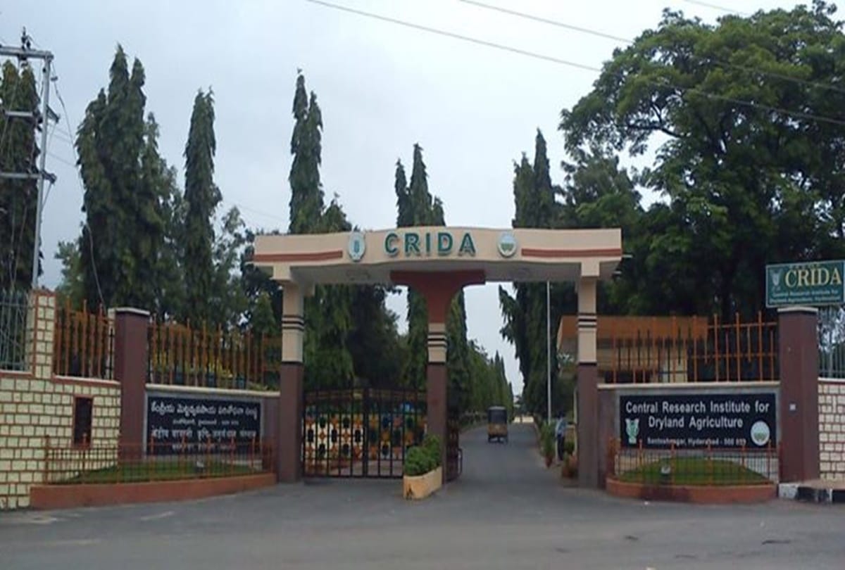 Jobs in central research for dryland institute, apply