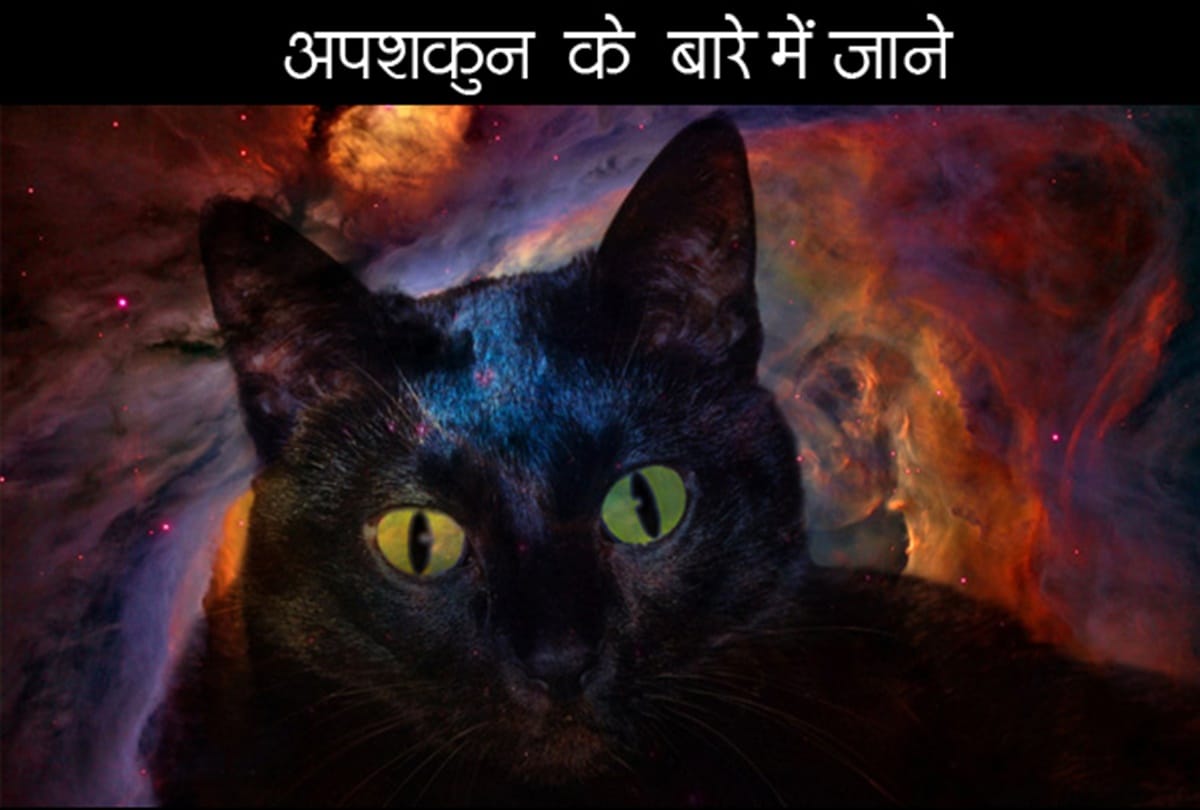 Without knowing this people believed Bad Omen sign of a cat