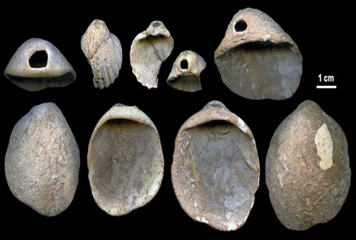 Experts claim Neanderthals were first artists on Earth not human 