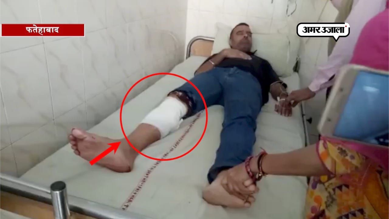 फरीदाबाद