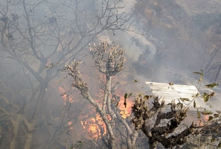 major fire breaks out at rampur in shimla