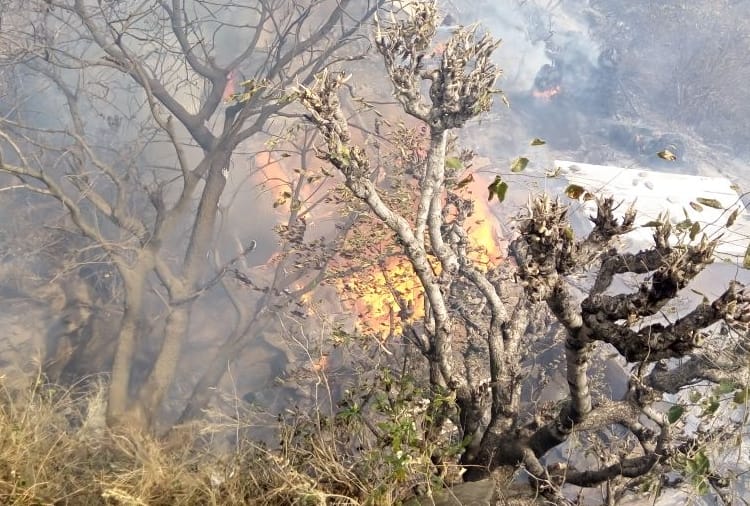 major fire breaks out at rampur in shimla