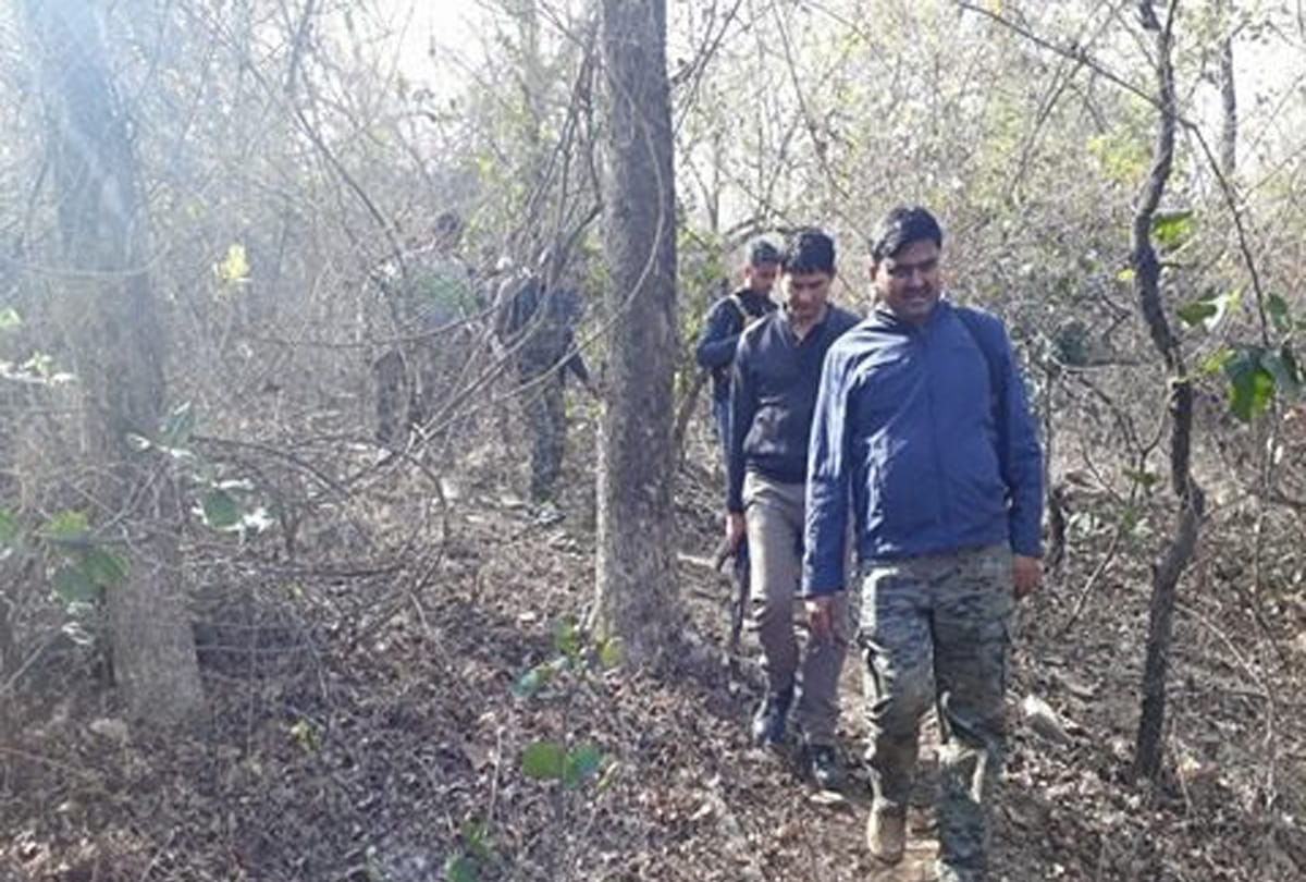 Robber babuli gang became high tech