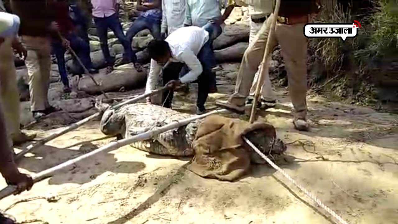 सोनभद्र