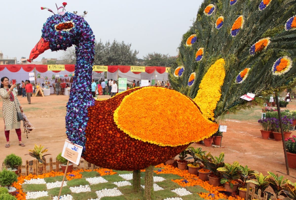 viw pics of basant utsav which was held in noida